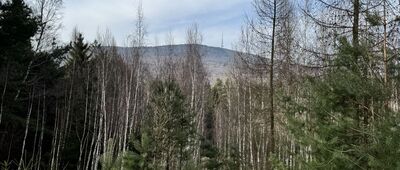 Mieszko i Jagienka ↔ Przełęcz Słupicka, rozejście szlaków