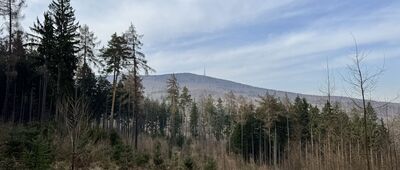 Mieszko i Jagienka ↔ Przełęcz Słupicka, rozejście szlaków