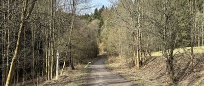 Okrzeszyn, granica ↔ Okrzeszyn, odejście szlaku zielonego