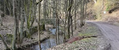 Okrzeszyn, odejście szlaku zielonego