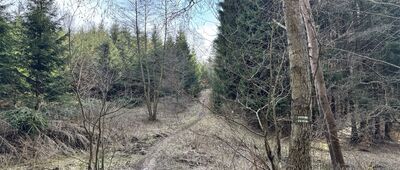 Pod Węglarzem ↔ Okrzeszyn, granica