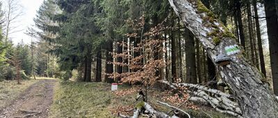 Pod Węglarzem ↔ Okrzeszyn, granica