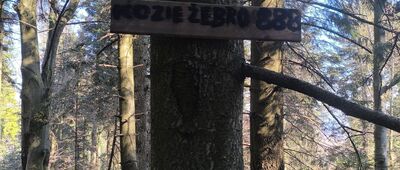 Nowy Sącz, Jamnica ↔ Czerszla