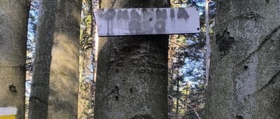 Nowy Sącz, Jamnica ↔ Czerszla