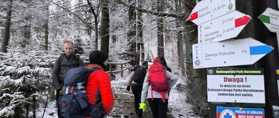 Przełęcz Krowiarki