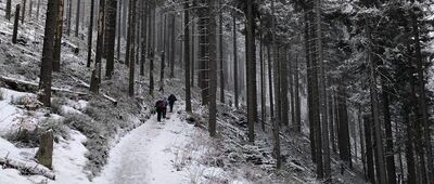 Sokolica ↔ Przełęcz Krowiarki