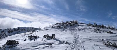 Przełęcz Brona ↔ Babia Góra (Diablak)