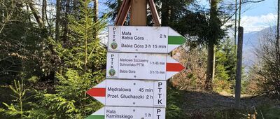 Przełęcz Jałowiecka, odejście szlaku czarnego