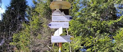 Przełęcz Jałowiecka