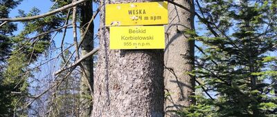 Beskid Korbielowski