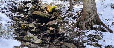 Schronisko PTTK Na Hali Miziowej ↔ Las Suchowarski