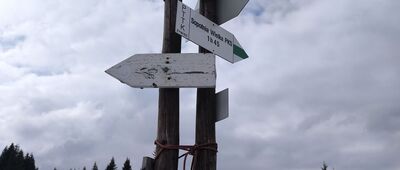 Hala Miziowa, skrzyżowanie szlaków