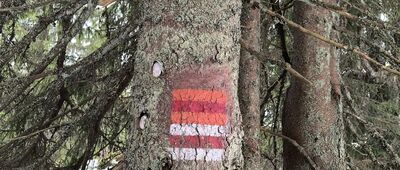 Hala Cudzichowa ↔ Pod Muńczolikiem