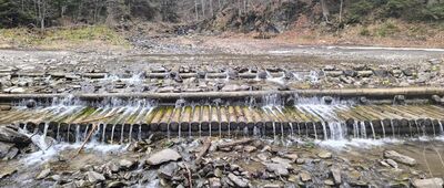 Złatna Huta ↔ Las Złotnice, Bystra