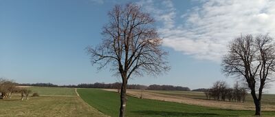Gołoszyce, przystanek ↔ Gołoszyce, skrzyżowanie