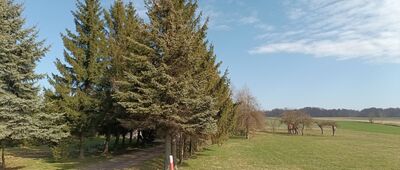 Gołoszyce, przystanek