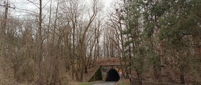 Wodzisław Śląski, ul. Stroma