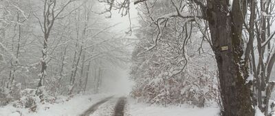 Trzy Kopce Wiślańskie ↔ Wierch Gościejów