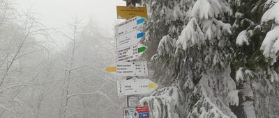 Trzy Kopce Wiślańskie