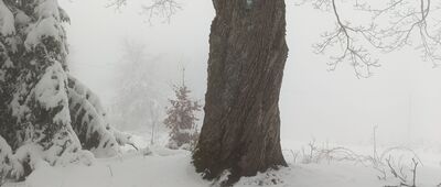 Pod Trzema Kopcami ↔ Trzy Kopce Wiślańskie