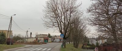 Wodzisław Śląski, ul. Górna