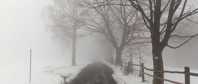 Pod Orłową ↔ Zakrzosek