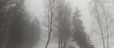 Pod Orłową ↔ Zakrzosek