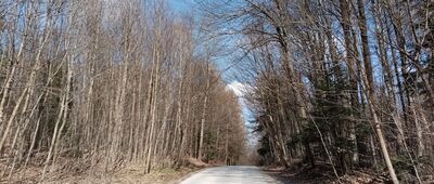 Przełęcz Karczmarka