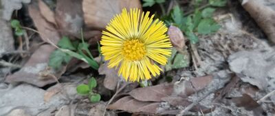 Przełęcz Karczmarka