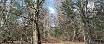 Szczytniak ↔ Pod Szczytniakiem