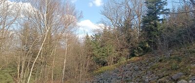 Stary Skoszyn, plebania ↔ Szczytniak