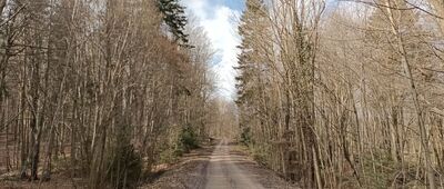 Jeleniowska Droga ↔ Szczytniak