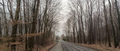 Wodzisław Śląski, ul. Górna ↔ Radlin, Obszary