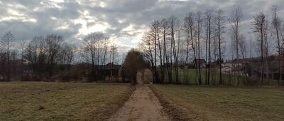 Paprocice ↔ Jeleniowska Droga