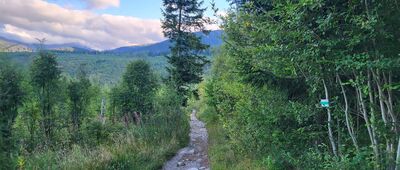 Bývalá Važecká chata