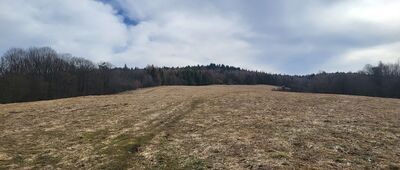 Lipowiec, odejście ścieżki spacerowej
