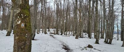 Odejście na Kamień ↔ Kamień nad Jaśliskami