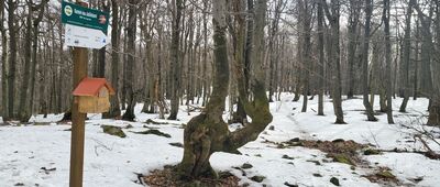 Kamień nad Jaśliskami