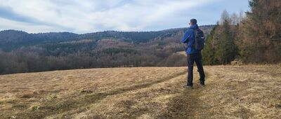 Lipowiec, odejście ścieżki spacerowej ↔ Rezerwat Kamień nad Jaśliskami