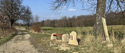 Rozejście szlaków niebieski / żółty ↔ Pod Wojkową