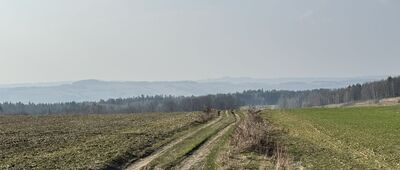 Rozejście szlaków niebieski / żółty ↔ Pod Wojkową