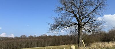 Rozejście szlaków niebieski / żółty ↔ Pod Wojkową