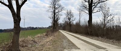 Międzylesie, ul. Sobieskiego ↔ Sikornik