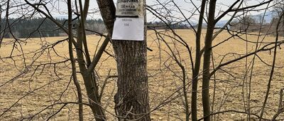 Przełęcz Międzyleska ↔ Sikornik