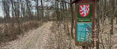 Moravičany, u žst. ↔ Bradlec