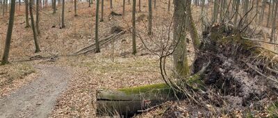 Skrzyżowanie szlaków ↔ Brama Czwójdzińskiego [Jak się tego znaku nie przemyśli, to można źle pójść...]