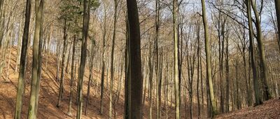 Rozejście szlaków ↔ Skrzyżowanie szlaków