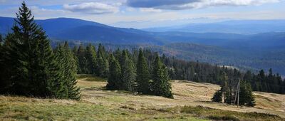 Pod Lipowskim Wierchem ↔ Schronisko PTTK Hala Lipowska