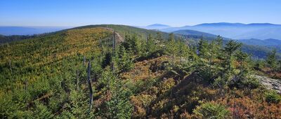 Magurka Wiślańska ↔ Magurka Radziechowska