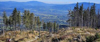 Schronisko PTTK Skrzyczne ↔ Lipowa, Ostre